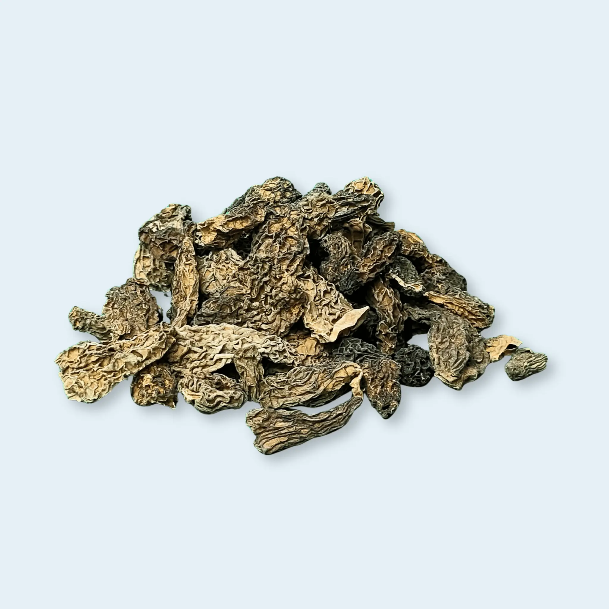 B-grade-dried-morel-mushroom
