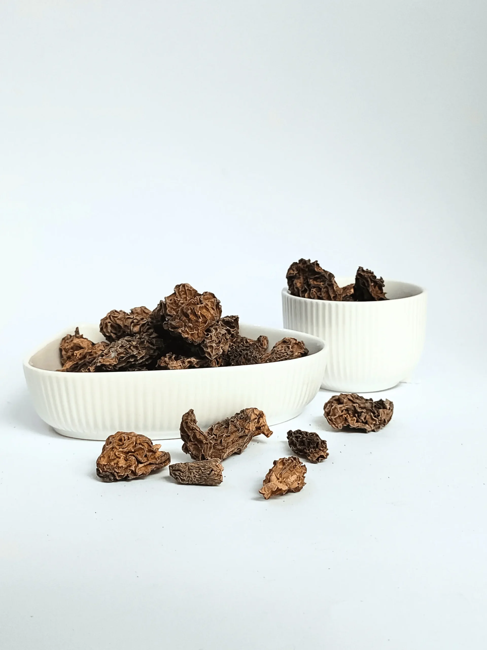 Bgrade-morel-mushroom