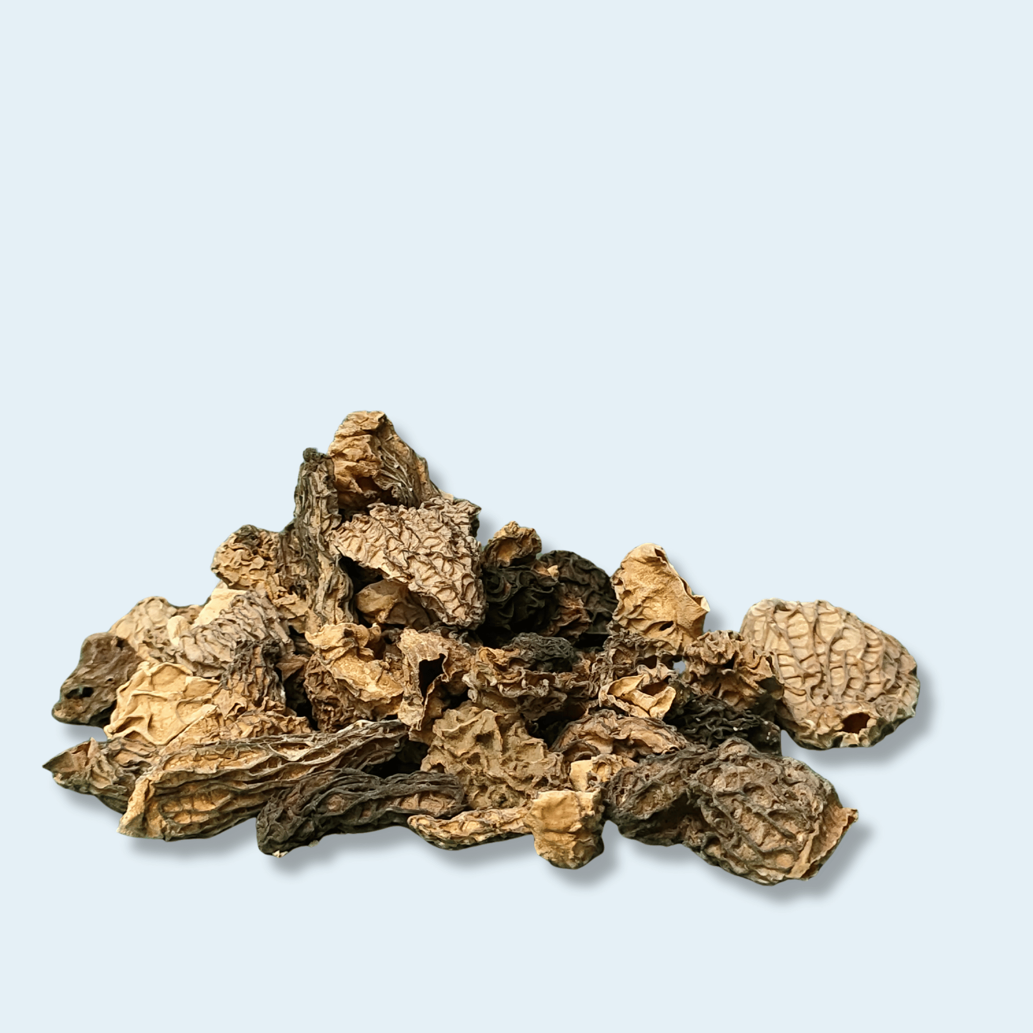 Dried Morel Mushroom - Indistrial grade