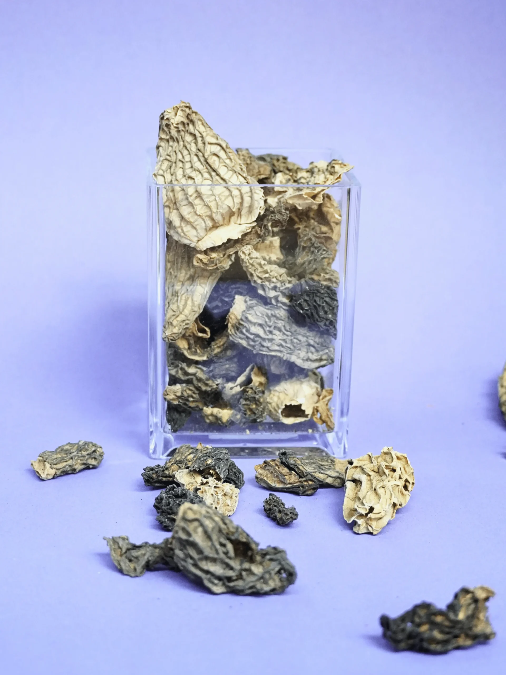 Indisturial Grade morel mushroom