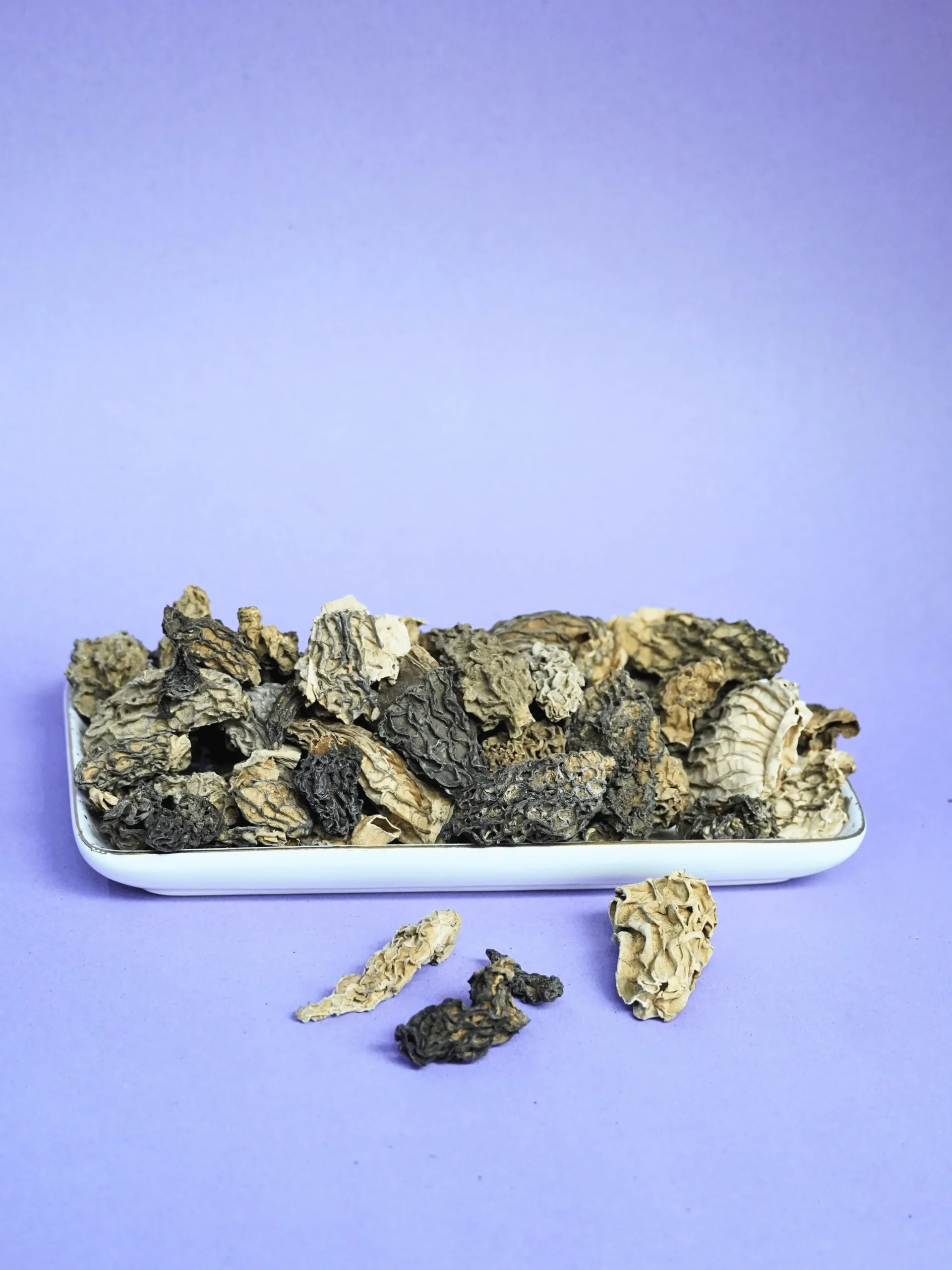 Morel Mushrrom