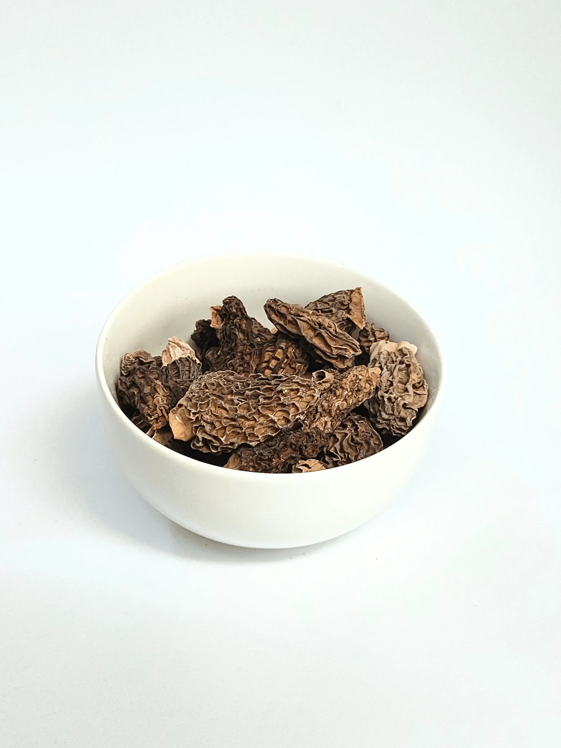 Morel-mushroom