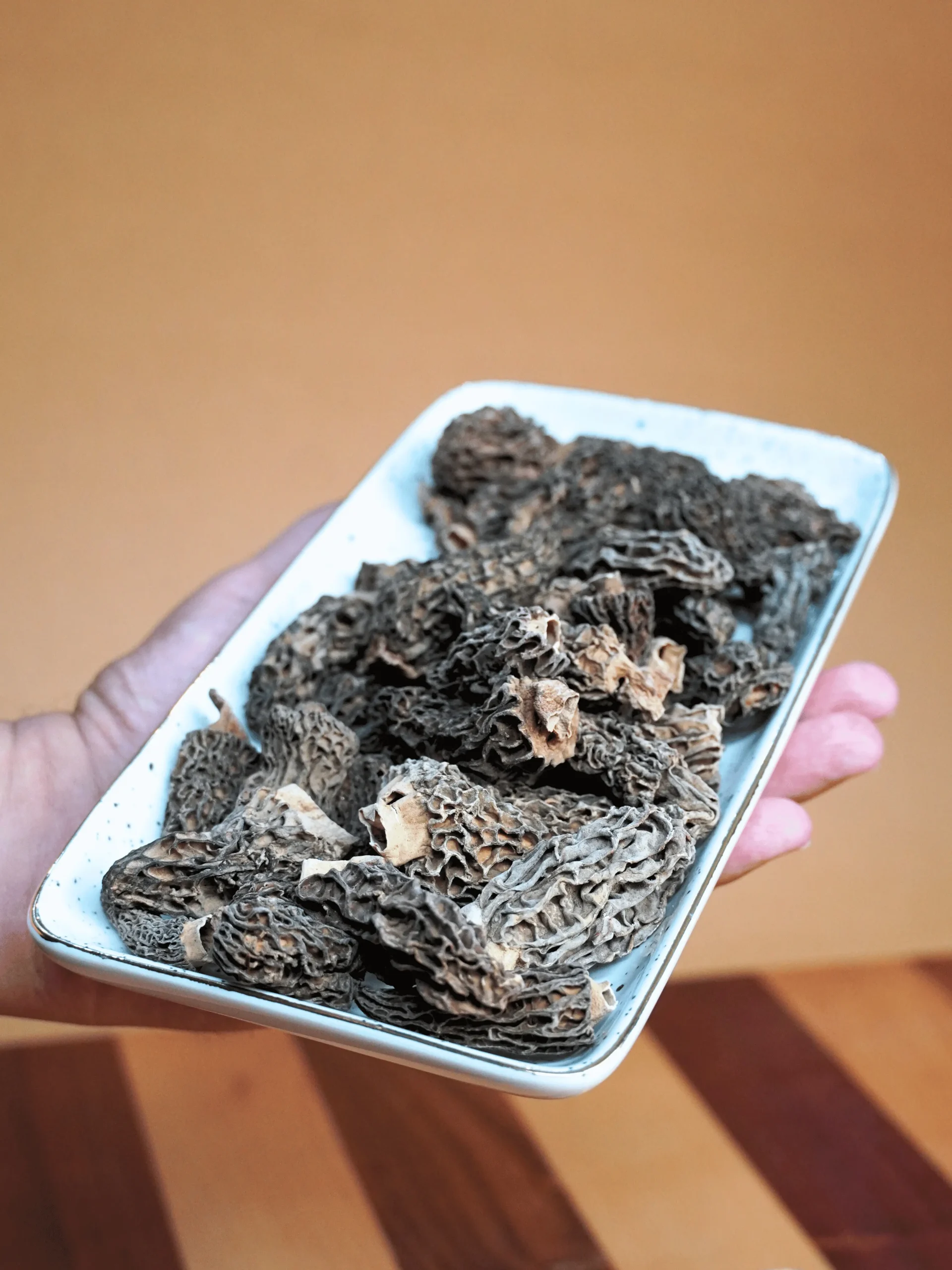 Regular special morel mushrooms