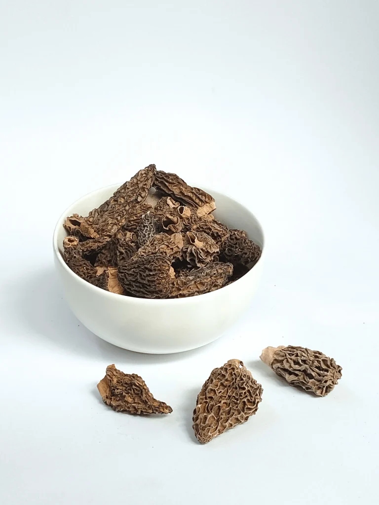 Special Regular morel mushroom fungi matrix