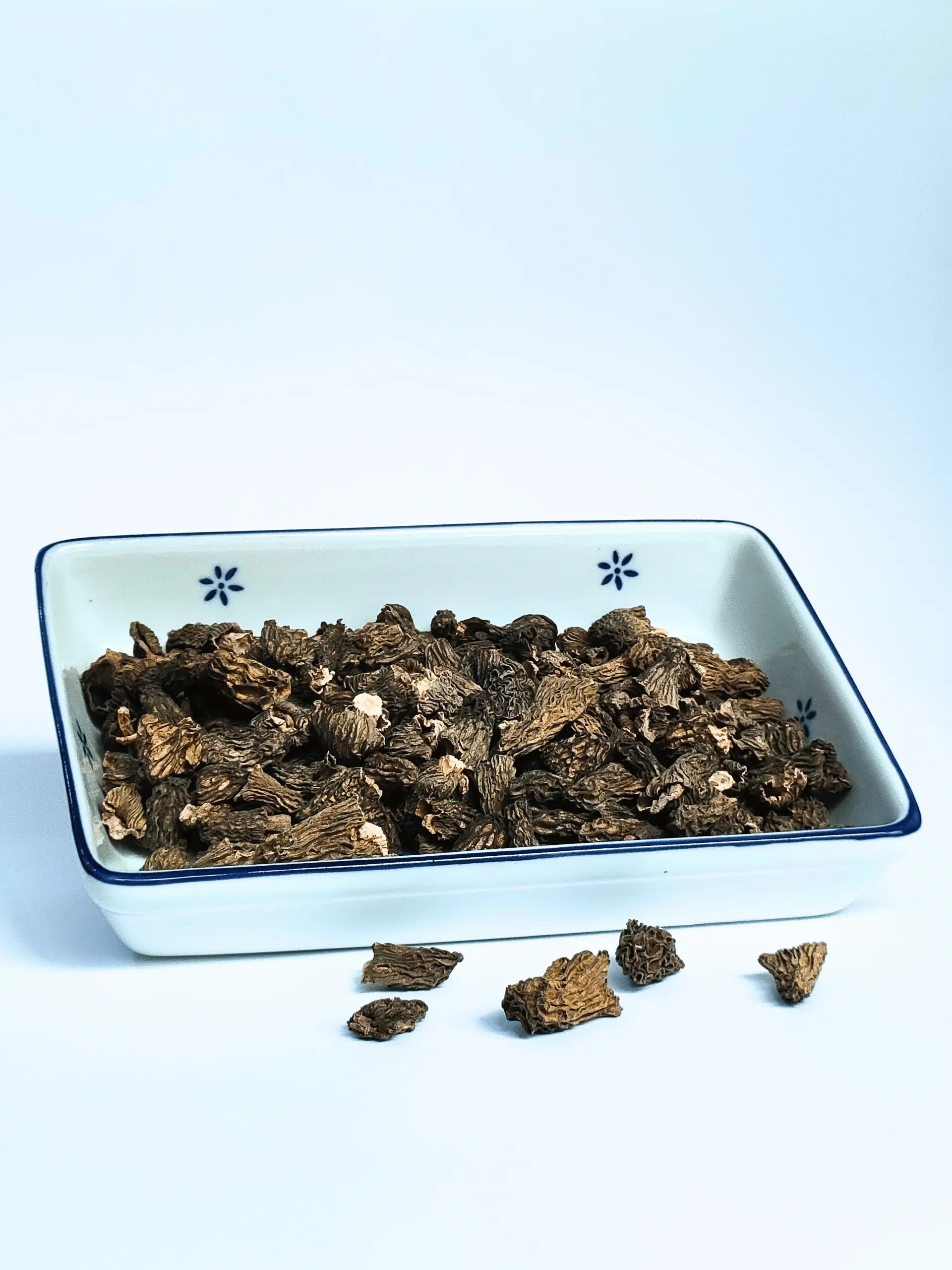 Buy special verpa morel mushoom globaly