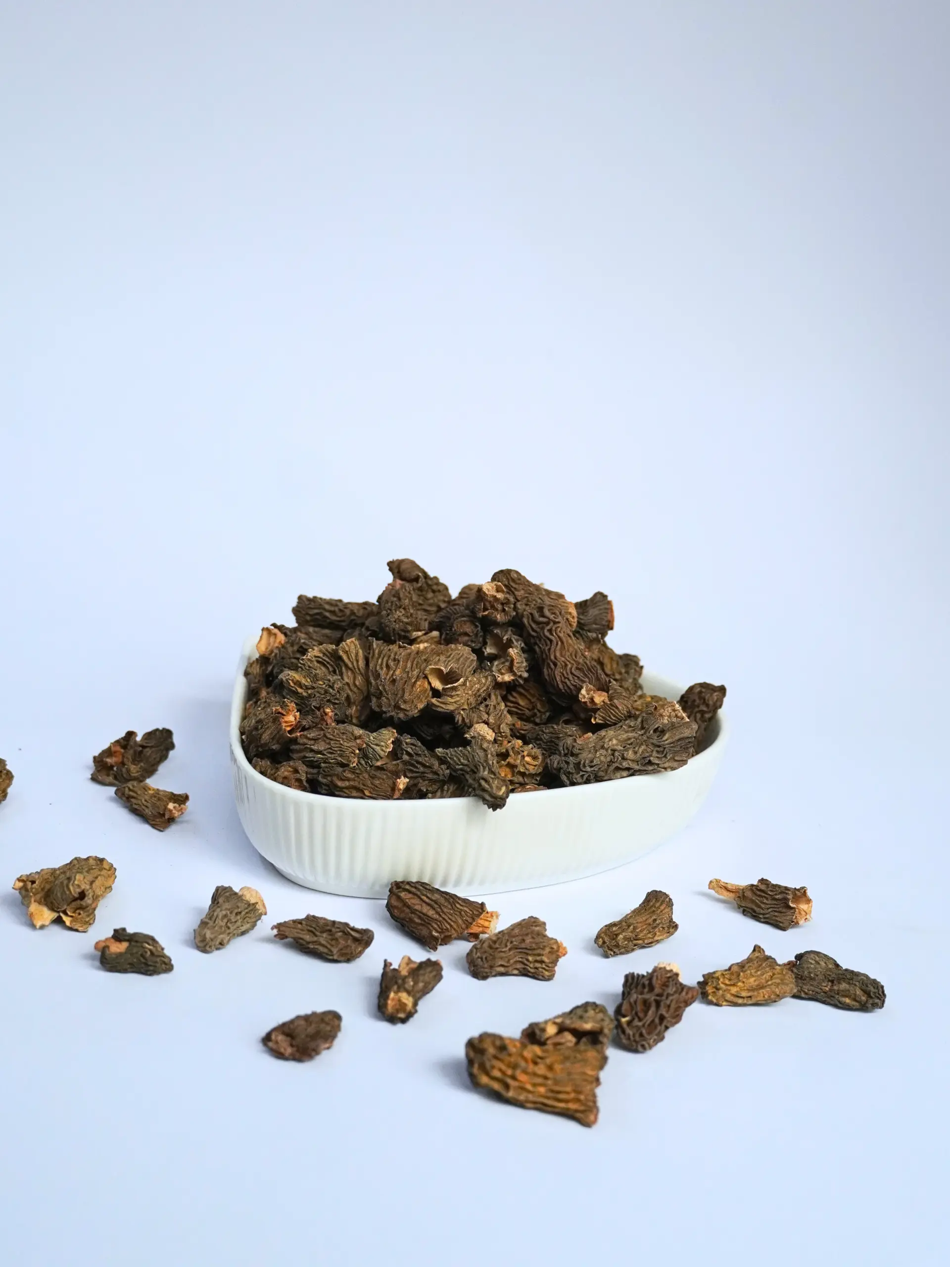 Special Verpa morel mushroom in uk