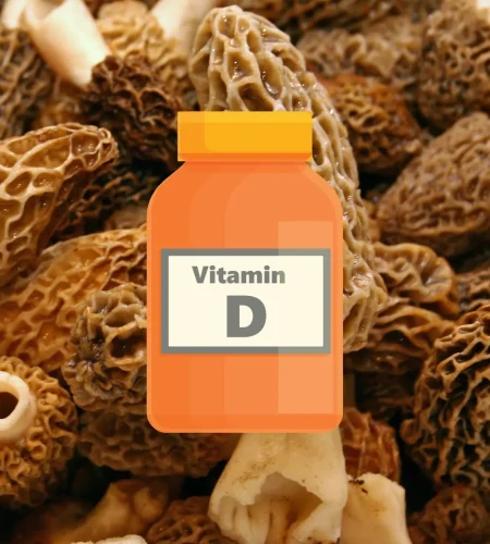 2. Vitamin D