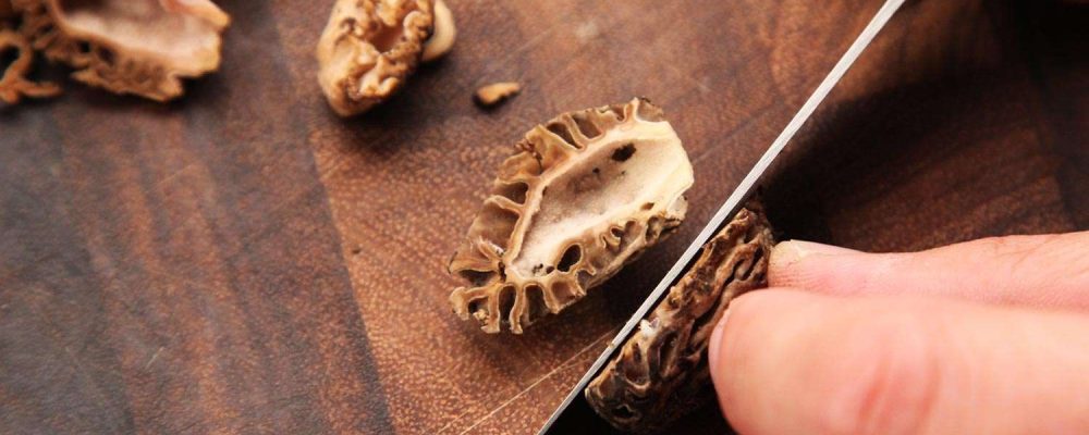 Clean and Prepare morel mushrooms