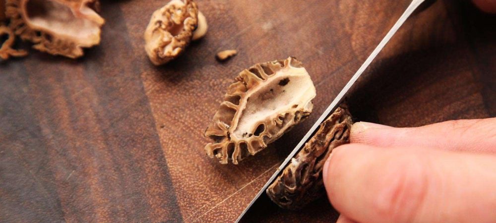 Clean and Prepare morel mushrooms