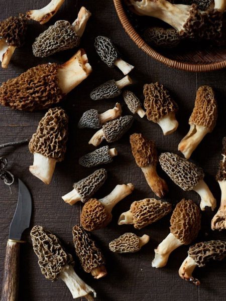 Image of antioxidant-rich foods, including morels