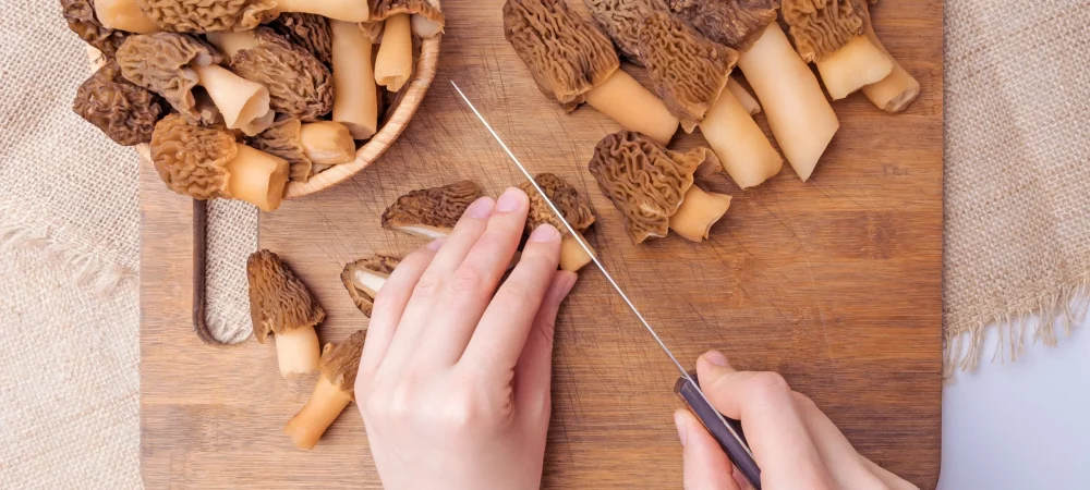 The Unique Flavor Profile of Morel Mushrooms